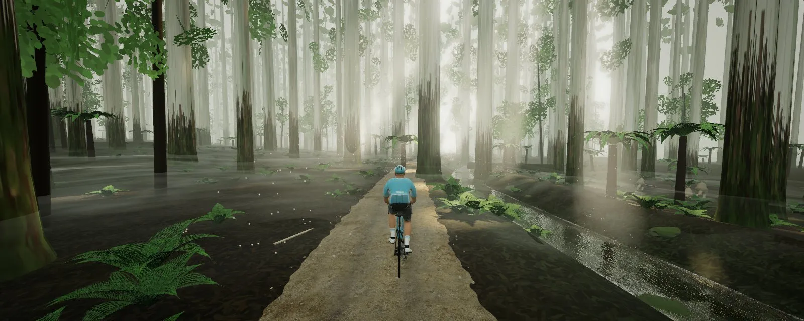 A rider on a gravel path through tall mountain ash and tree ferns